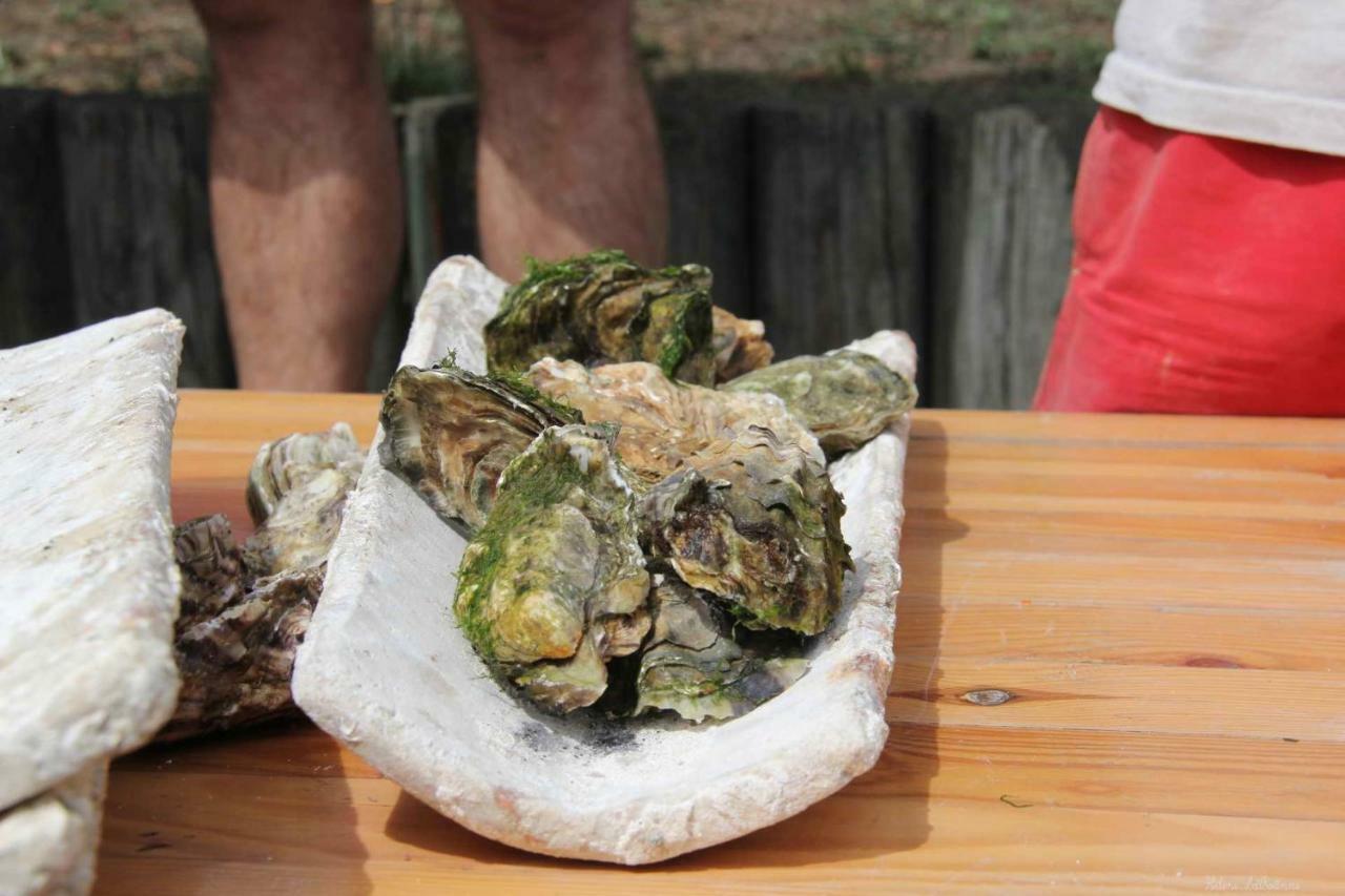 Les Pieds Dans L'Eau Leilighet Arcachon Eksteriør bilde